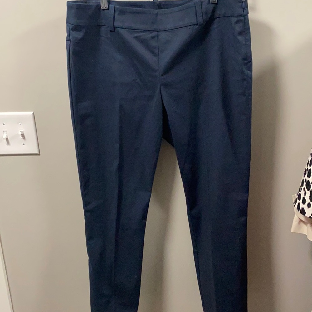 Any Taylor navy side zip cropped ankle pant.